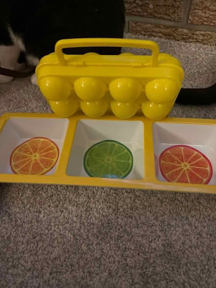 Photo of free Egg carrier citrus bowl (North Brampton) #1