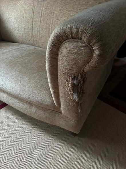 Photo of free Old Chesterfield style sofa (LU2) #2
