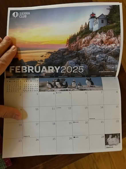 Photo of free new calendar (Woodside Plaza) #1