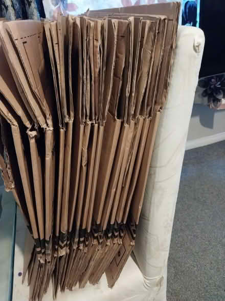Photo of free Moving boxes (Shooter hill) #1