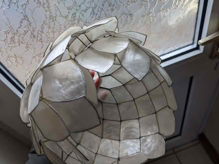 Photo of free Capiz shell ceiling lamp shade. Broken. (Kennington OX1) #3