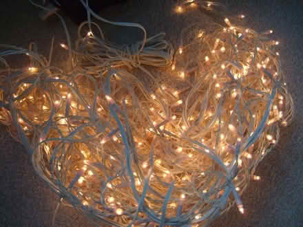 Photo of free Long string of small light bulbs (Jennyfield HG3) #1