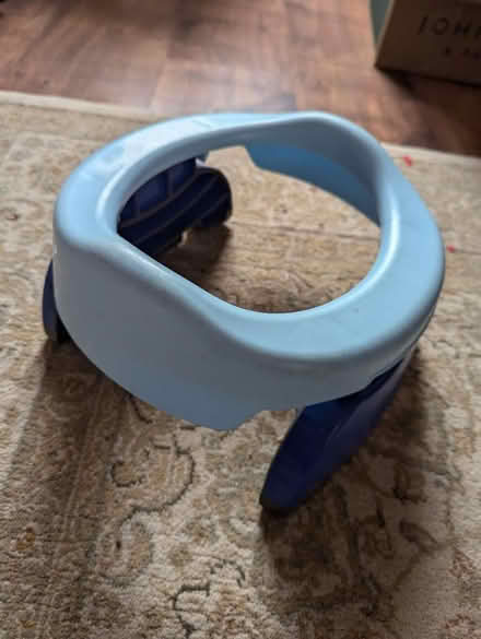Photo of free Portable potty (Harringay N4) #1