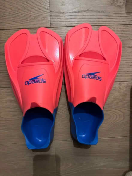 Photo of free Training fin swimming (South Kensington SW7) #1