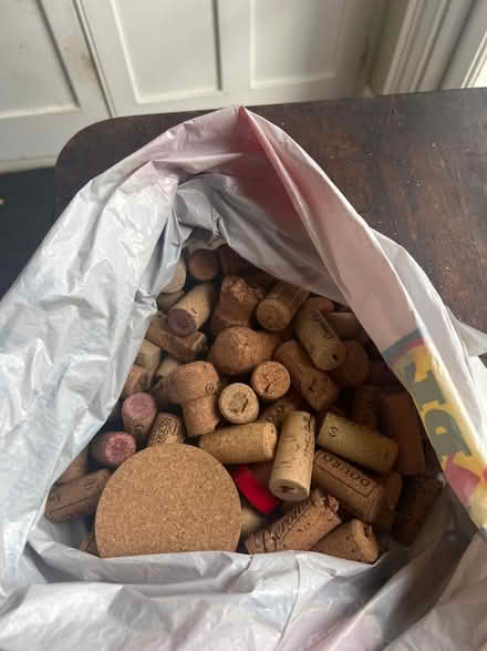 Photo of free Corks (Hove BN3) #1