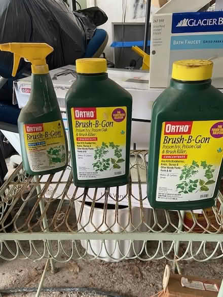 Photo of free Brush B Gone (Carlisle) #1
