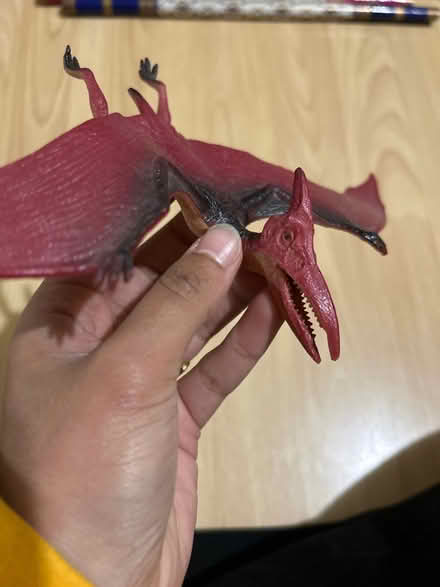 Photo of free Dinosaur toy (North Road, Islington (N7 9)) #2