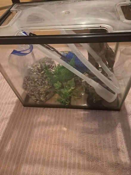 Photo of free Fish tank and accessories (CF24) #1