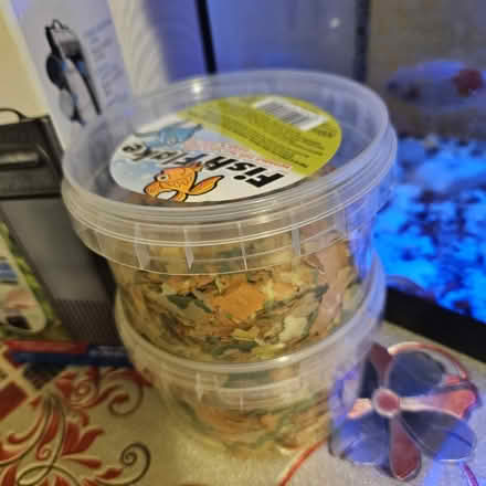 Photo of free 3x Goldfish (Orpington) #3