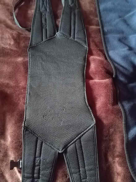 Photo of free Dog assist harness (Odd Down) #2
