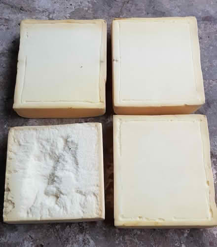 Photo of free 4 Pieces of Foam (Euxton PR7) #3