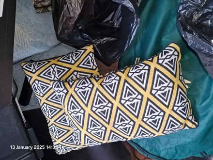 Photo of free Cushions (Whiteway GL6) #1