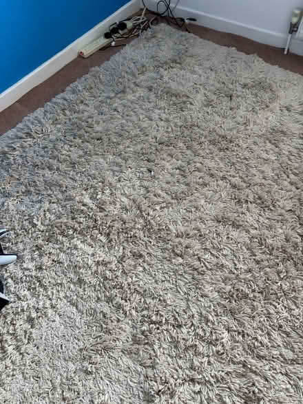 Photo of free IKEA Gåser Rug 240x170cm Beige (Sandy SG19) #1