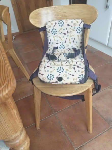 Photo of free Highchair booster seat (Fleetville) #1