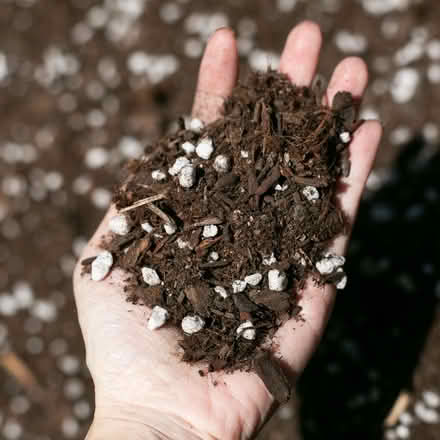 Photo of Potting Mix or Compost (Idlewylde, 21239) #1