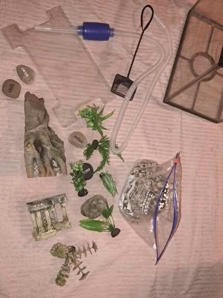 Photo of free Fish tank and accessories (CF24) #2
