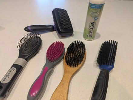 Photo of free Dog care items (Barkhamsted) #2