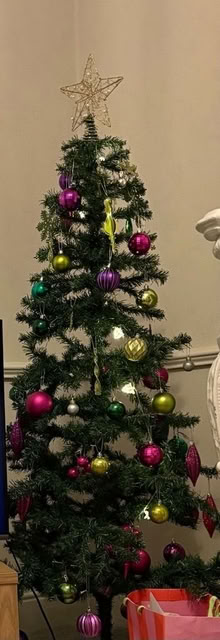 Photo of free Christmas tree and bubbles (Arbourthorne S2) #1