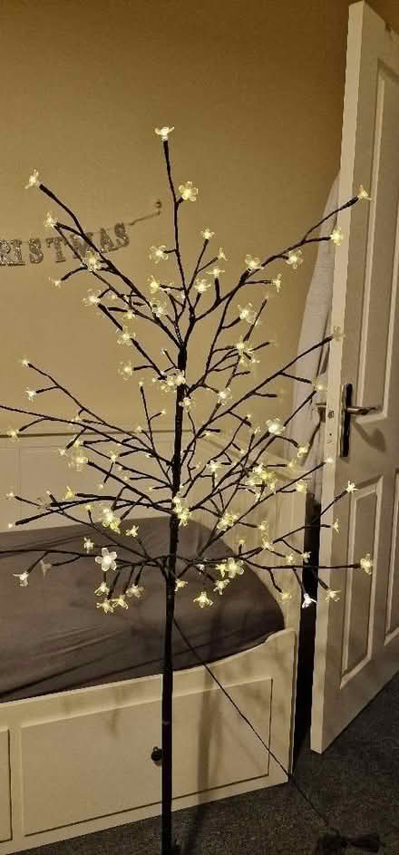 Photo of free Blossom tree light-150cm (Walthamstow E17) #1