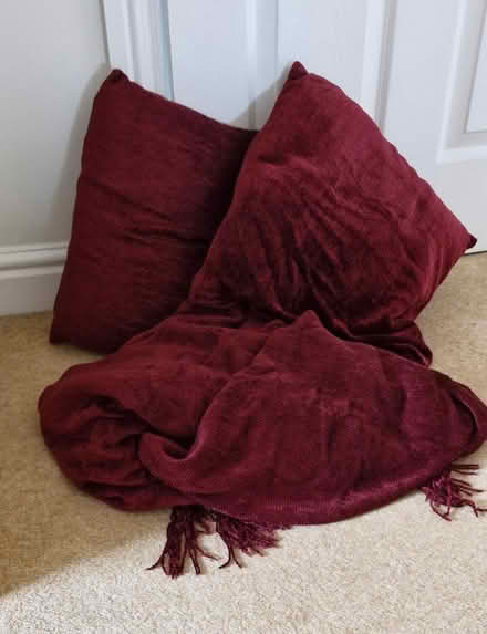 Photo of free Chenille cushions and throw (Knaphill) #1