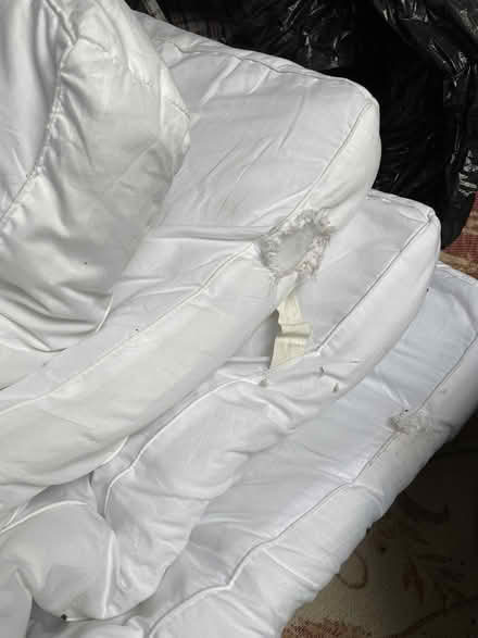 Photo of free Double Mattress Topper (ME13) #1