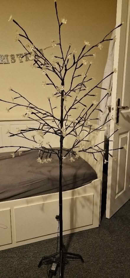 Photo of free Blossom tree light-150cm (Walthamstow E17) #2