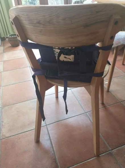 Photo of free Highchair booster seat (Fleetville) #2