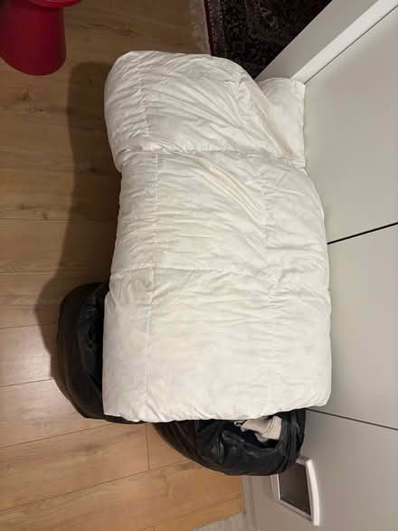 Photo of free Women Clothes and Feather Duvet (NW6, Brondesbury Park) #2