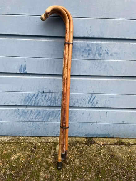 Photo of free Walking sticks (Forest Hill SE23) #1