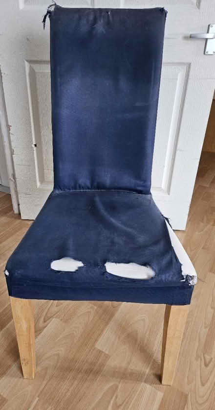 Photo of free Tall dining room chair x1 (HA7) #2