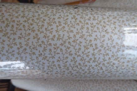 Photo of free Wallpaper (Hillhead TQ5) #4