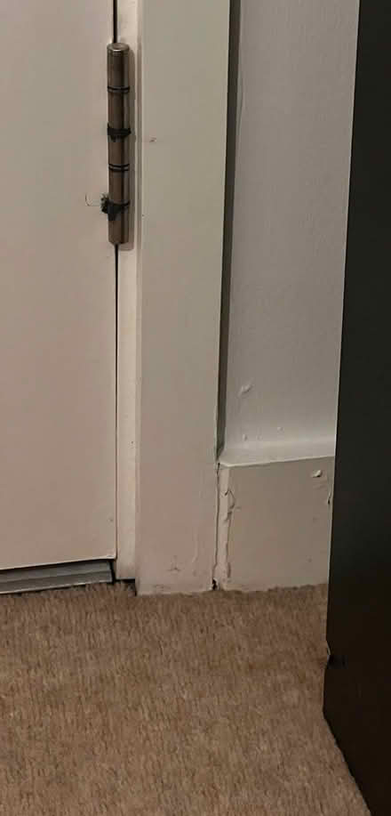 Photo of free Black Drawer 5 sections (C04) #3