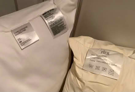 Photo of free 5 cushions with no covers (Wimbledon SW19) #3