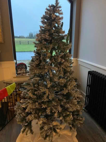 Photo of free Christmas Tree - 7ft (Sixmilebridge) #1