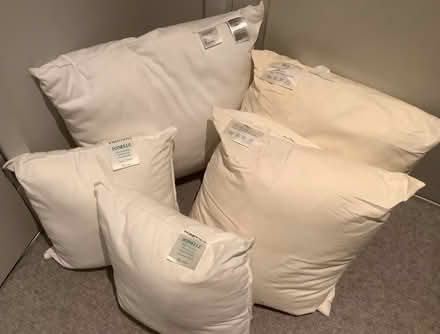 Photo of free 5 cushions with no covers (Wimbledon SW19) #1