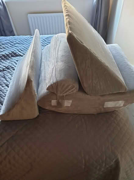 Photo of free Support pillows (TN38) #4