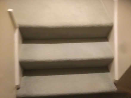 Photo of free Sage green Hall stairs carpet for allotment(?) (Poplars SG2) #1