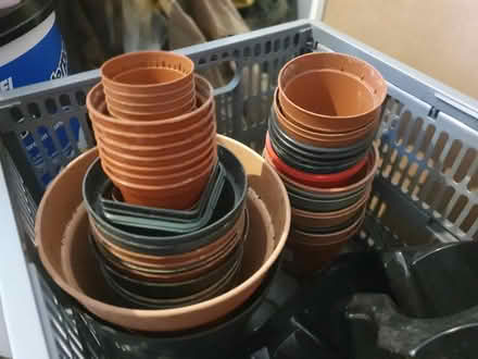 Photo of free plastic nursery pots (G42) #1