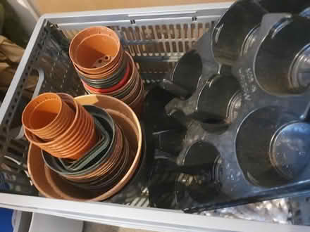 Photo of free plastic nursery pots (G42) #2