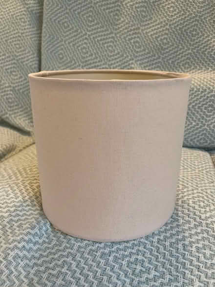 Photo of free Pale pink lamp shade 16cm diameter (Henley-on-Thames RG9) #1