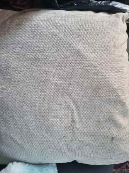 Photo of free 3 large cream cushions (BN3) #1