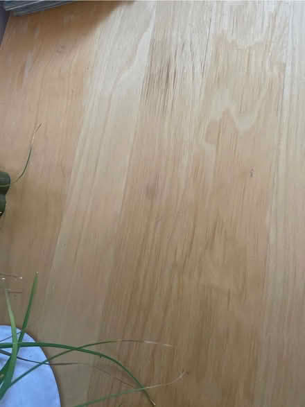 Photo of free IKEA birch 188cm low table (Abbeyhill EH7) #2