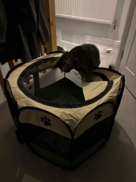 Photo of free Cat play pen (Oxford-Freegle CGA OX2) #1