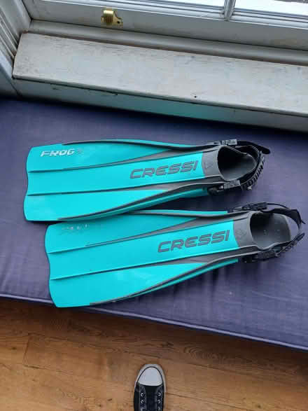 Photo of free scuba fins (Sun In The Sands Roundabout SE3) #1