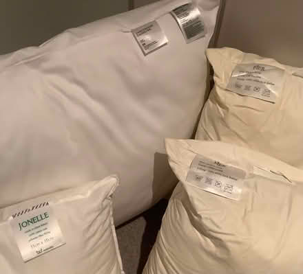 Photo of free 5 cushions with no covers (Wimbledon SW19) #2