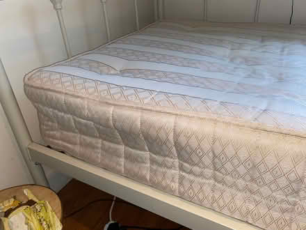 Photo of free Single mattress (Redditch B97) #1