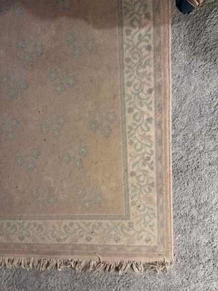 Photo of free tasselled floor rug (Upper Radley OX14) #1