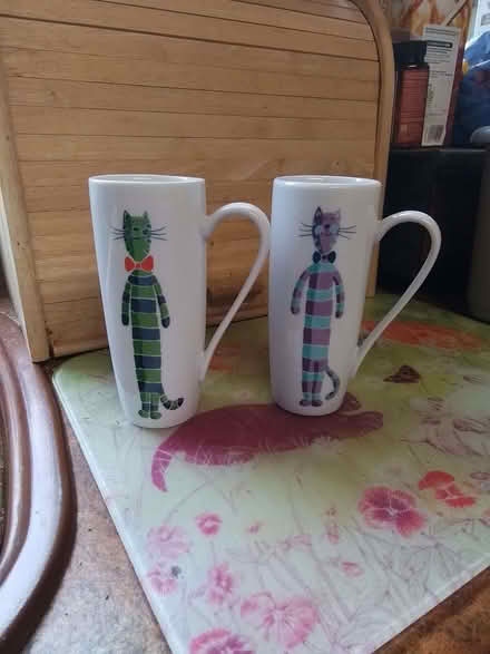 Photo of free 2 tall cat mugs (Fords Farm RG31) #1