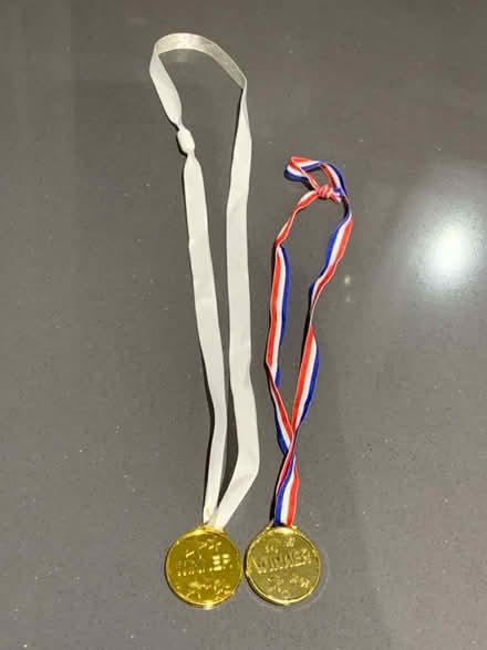 Photo of free 2 x Childrenâs Plastic Winner Medals (Norton Lees S8) #1