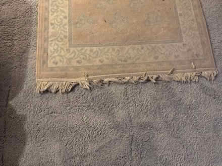 Photo of free tasselled floor rug (Upper Radley OX14) #2